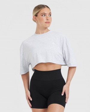 Oner Active Klassieke Relaxed Crop Lichtgewicht T-shirts Lichtgrijs | QNL-012583