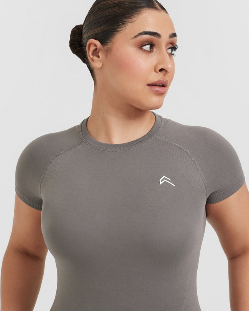 Oner Active Go To Seamless Fitted T-shirts Grijs | TSP-825317