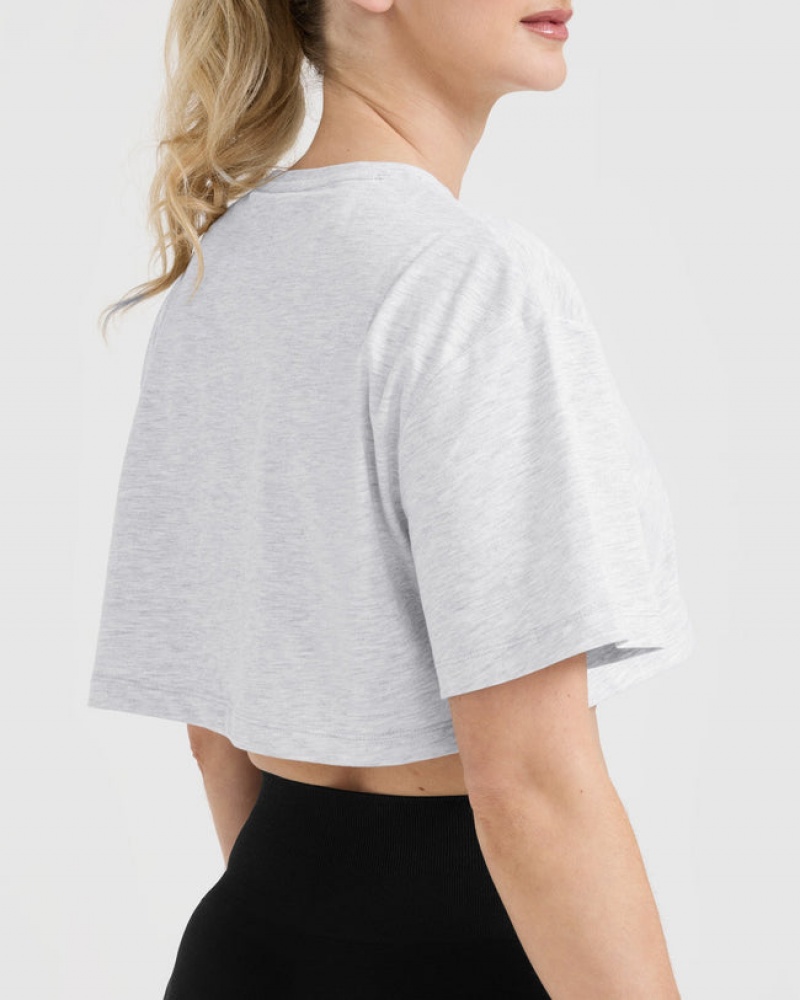 Oner Active Klassieke Oner Grafische Crop Lichtgewicht T-shirts Lichtgrijs | IDO-718469