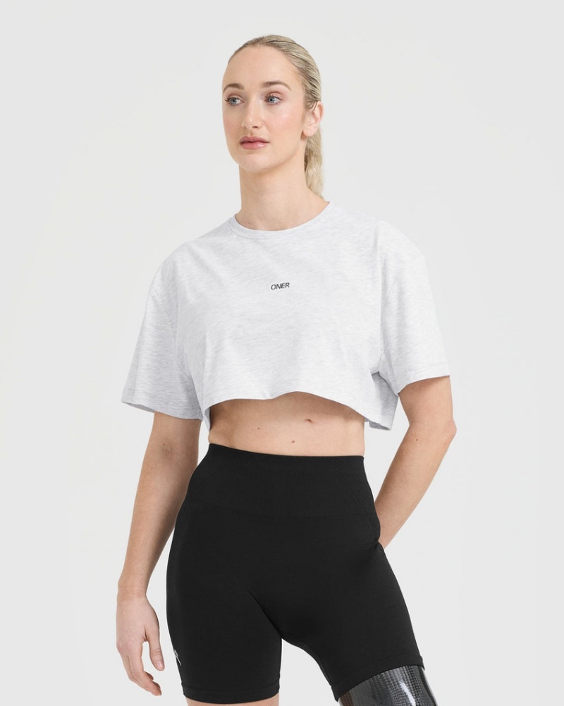 Oner Active Klassieke Oner Grafische Crop Lichtgewicht T-shirts Lichtgrijs | IDO-718469