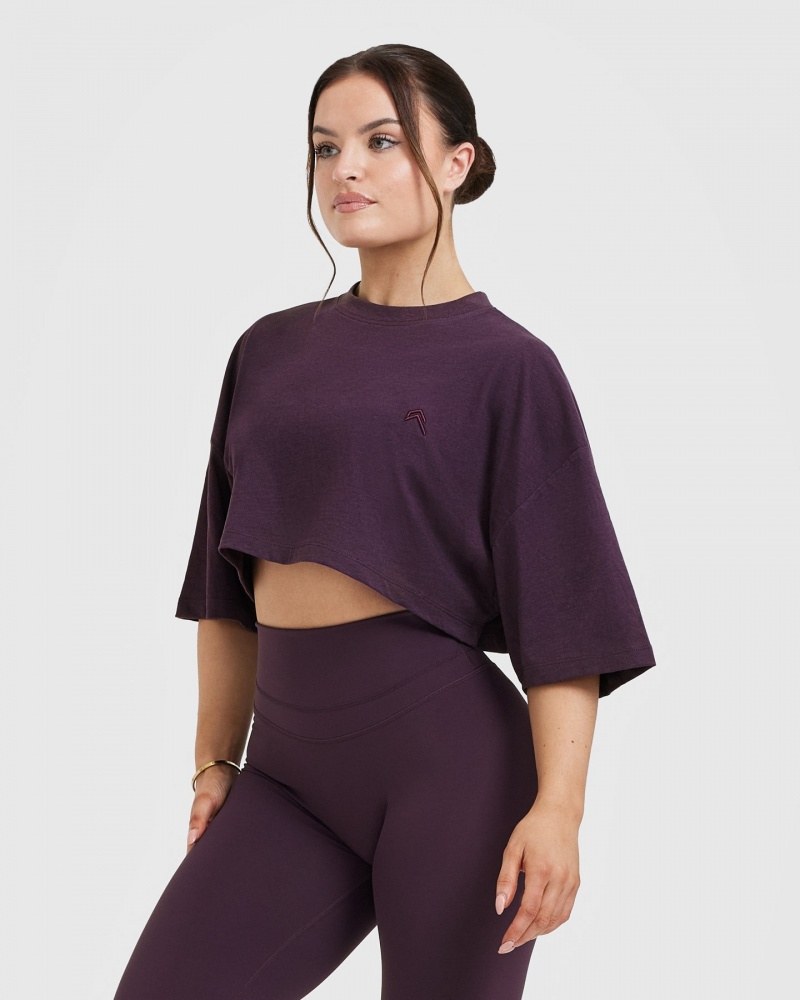 Oner Active Klassieke Relaxed Crop Lichtgewicht T-shirts Paars | NDM-698413