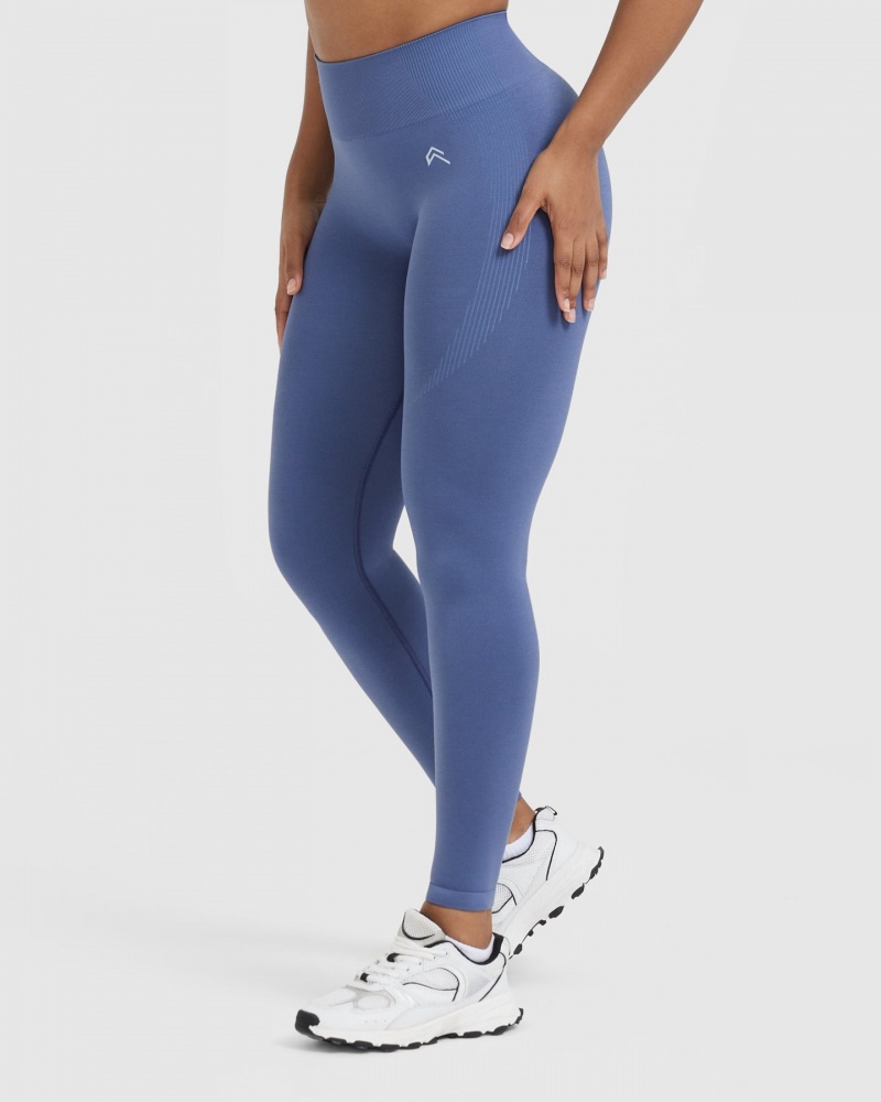 Oner Active Klassieke Seamless 2.0 Leggings Blauw | EVS-792436